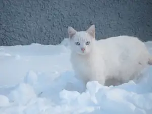 Venku se mu teď moc nechce být