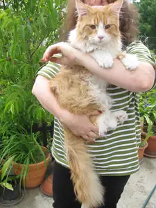 Toto je dcery má holomek 11kg a to mu je teprve rok