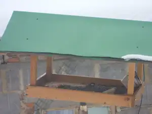 ...jsou strašně plachý, vždycky mi frnknou