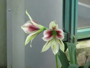 Botanická zahrada v Liberci