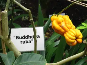 interpreter — 18. března 2013
