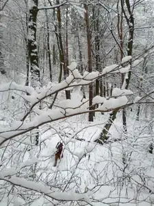 sud — 19. března 2013