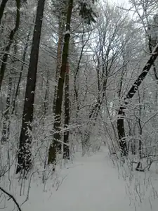 sud — 19. března 2013