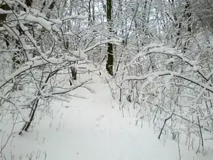 sud — 19. března 2013