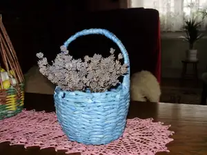 Levandule v modrém je z loška