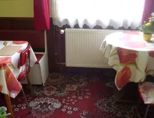 tulipány aspoň na ubrusech