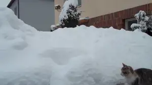 HROMADY SNĚHU A NELINKA JE ŮPLNĚ MALÁ