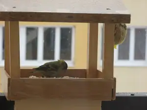 v krmítku, co jsem vyrobila