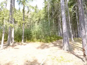 kyti5 — 8. dubna 2013