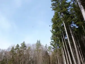 kyti5 — 8. dubna 2013