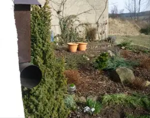 keříky dostaly formu