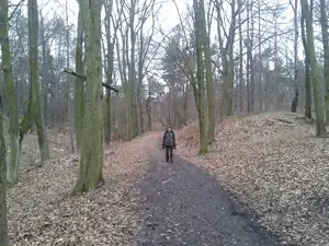 sobotní odpoledne