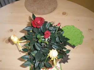 Dominik Mik — 9. dubna 2013