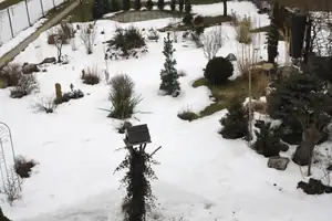 dnes ráno...:-((((