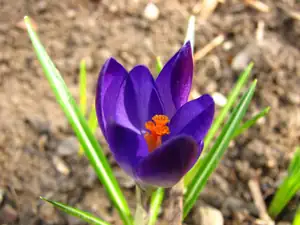 papi9719 — 14. dubna 2013