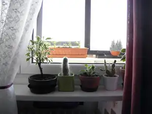 za oknem je to lepší...