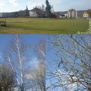 kyti5 — 14. dubna 2013