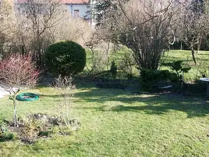 iris66 — 15. dubna 2013