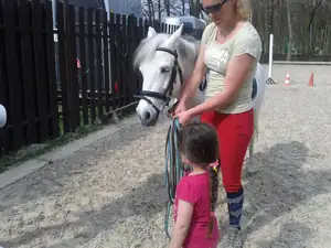iris66 — 18. dubna 2013