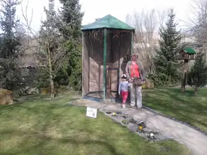 iris66 — 18. dubna 2013