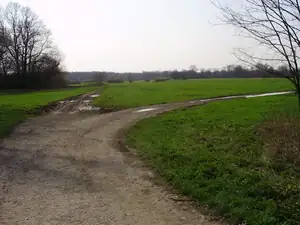 Tam jezdíme na kolech,ale dnes se nedalo