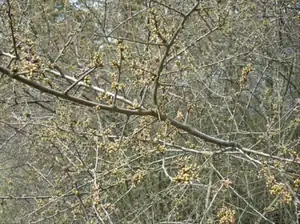 kyti5 — 22. dubna 2013