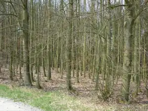 kyti5 — 22. dubna 2013