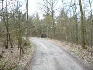 prostě jsem koukala do škarp