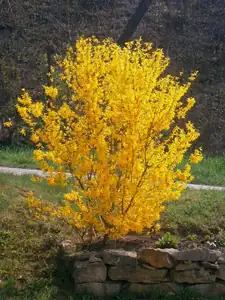 Magdalenka73 — 23. dubna 2013