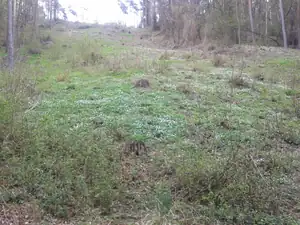 sasankami posetá stráń