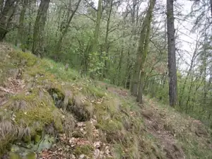 sud — 1. května 2013