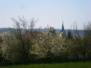 V zahradě