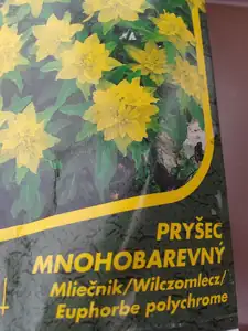 iris66 — 3. května 2013