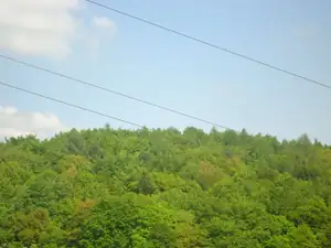 adelka brezikova — 5. května 2013