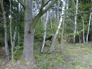 sud — 8. května 2013