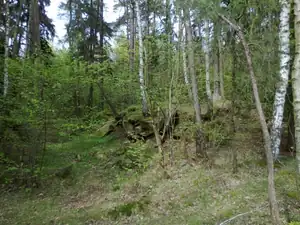 sud — 8. května 2013