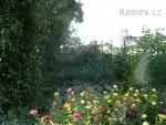 Květiny