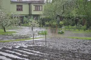 muškatek — 8. května 2013