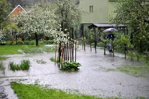 hrášek