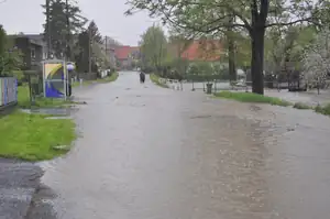 muškatek — 8. května 2013