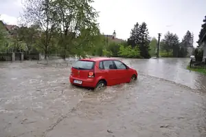 muškatek — 8. května 2013