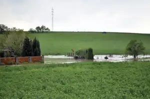 muškatek — 8. května 2013
