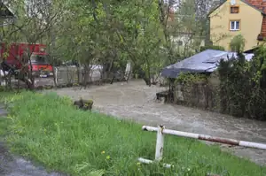muškatek — 8. května 2013