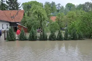 muškatek — 8. května 2013