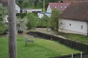 muškatek — 8. května 2013