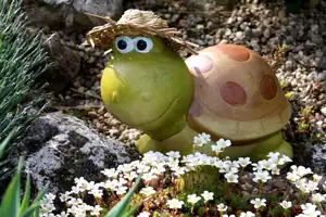 želva...