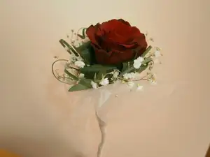 Mé floristické začátky.. 🙂