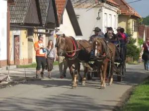 Koníci tam byli trojí