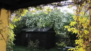 Je zima, je hnusně :(