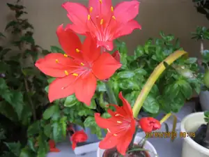 sud — 4. října 2010